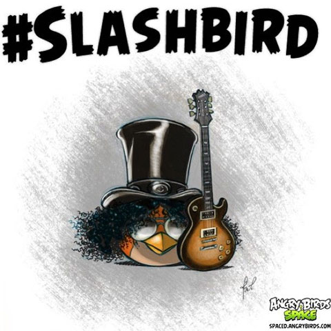 Slashbird