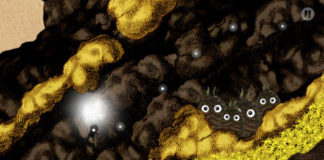 Sir Benfro’s Brilliant Balloon