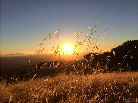 Foto de una puesta de Sol hecha con el iPhone 5S