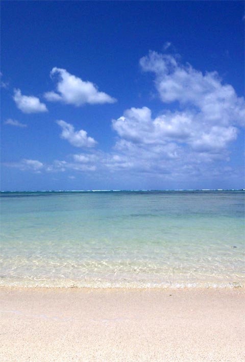 Playa paradisíaca