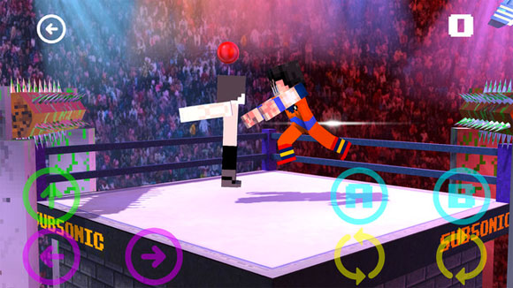 Wrestling Mania 3D