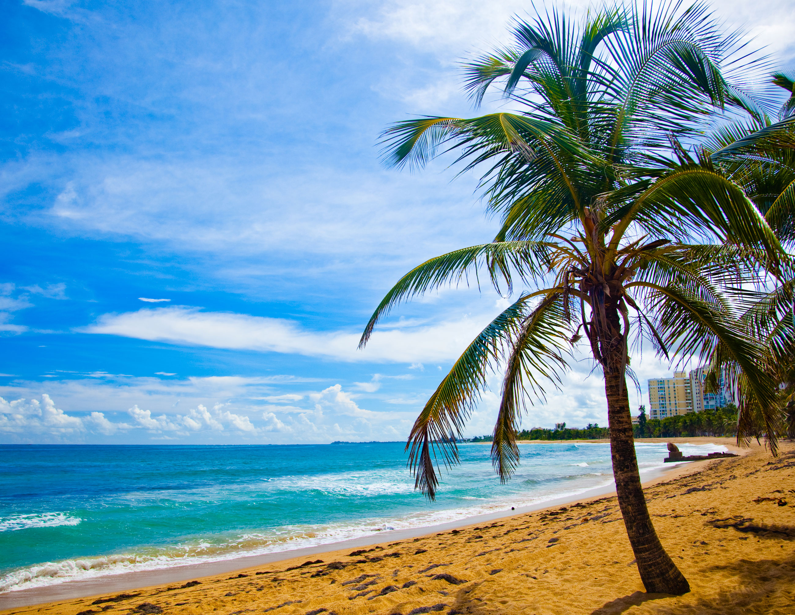 Fondo de pantalla semanal: Playa y palmeras en Costa Rica | iPhoneros