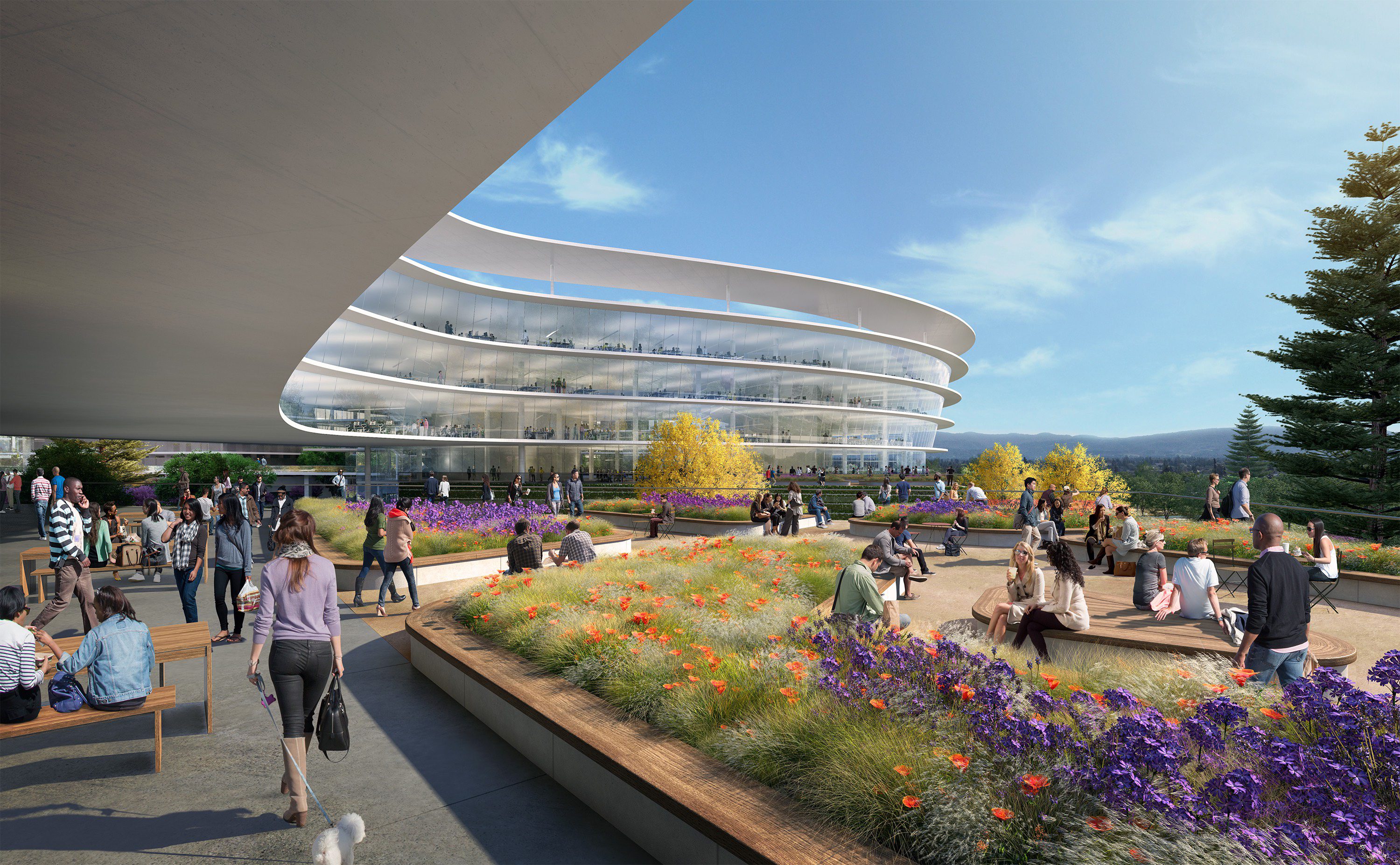 Render de las nuevas oficinas de Apple en Sunnyvale