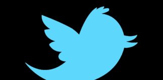 Pájaro de Twitter con fondo negro (logo)