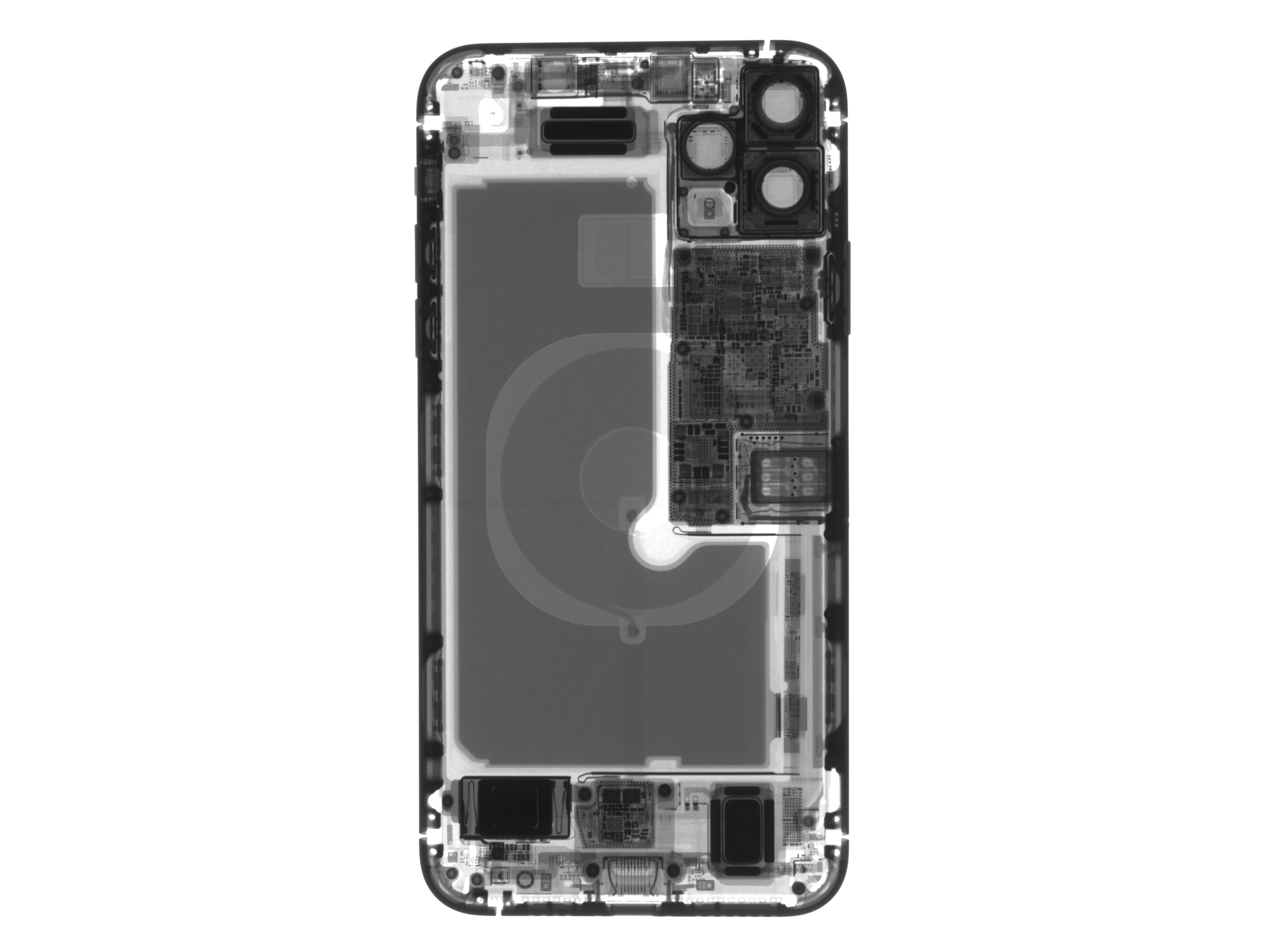 Conector de batería puede usarse con Apple iPhone 11, iPhone 11 Pro, iPhone  11 Pro Max - All Spares