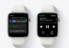 App de Spotify en el Apple Watch