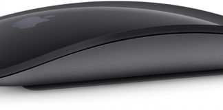 Magic Mouse gris espacial