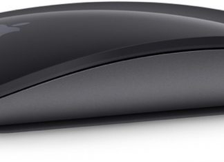 Magic Mouse gris espacial