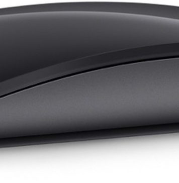 Magic Mouse gris espacial