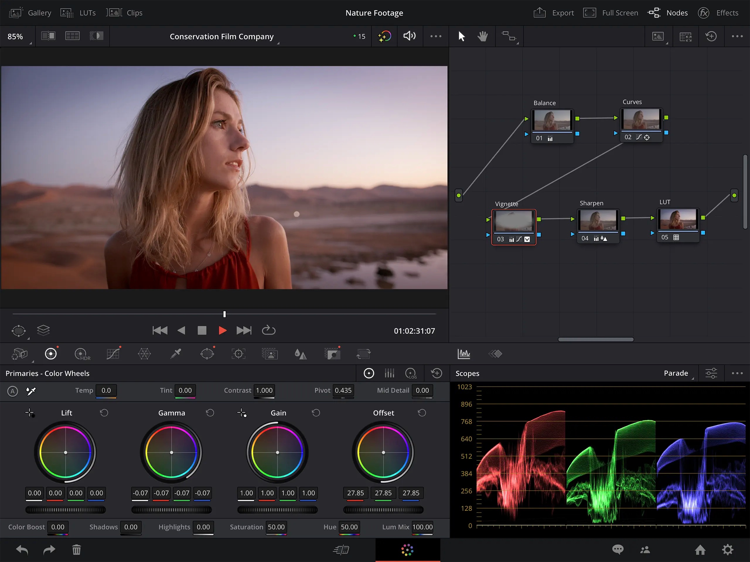 Davinci resolve fullscreen