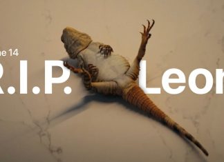 RIP Leon