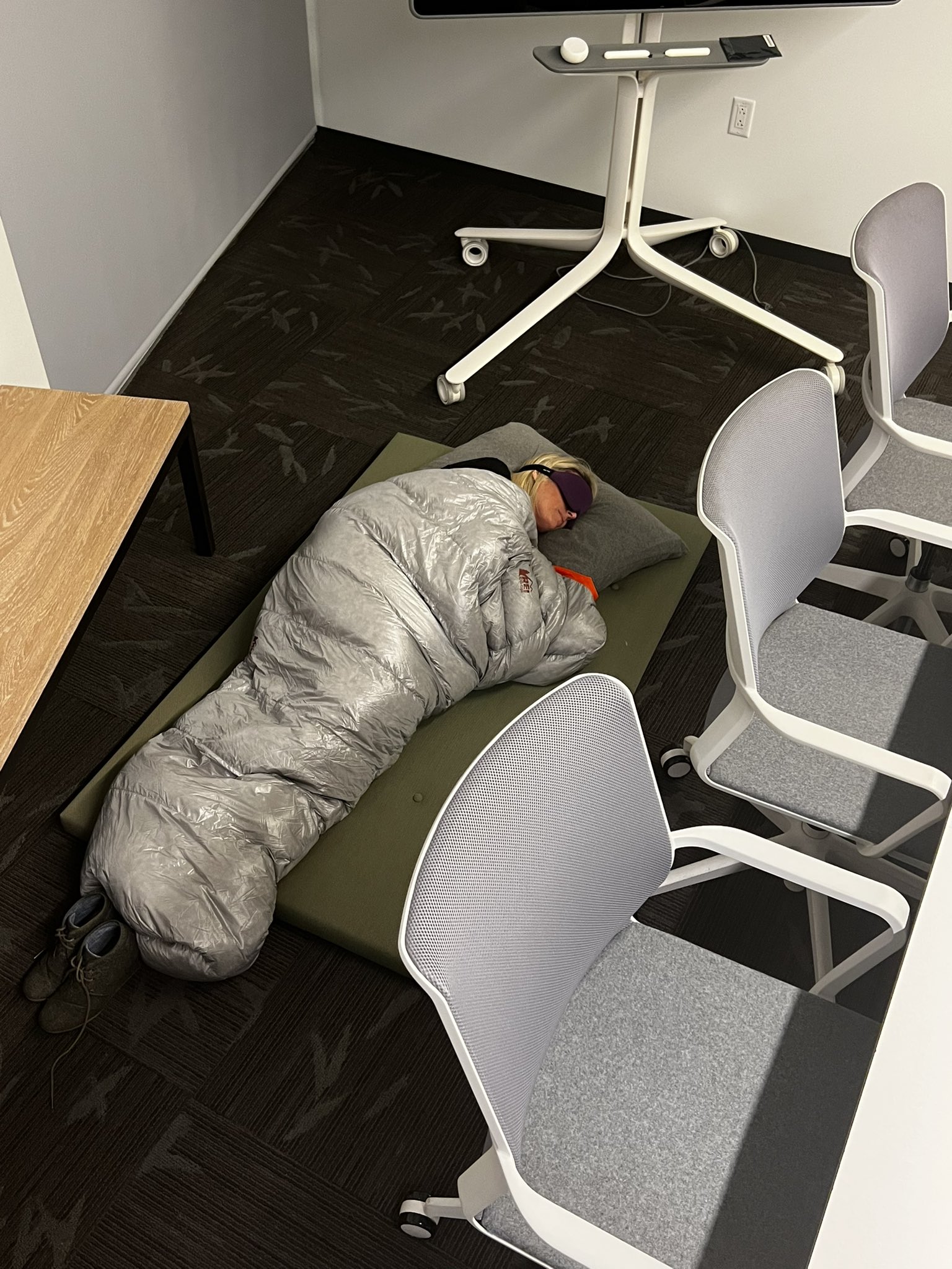 Responsable de Twitter Blue durmiendo en las oficinas de Twitter para complacer a su jefe Elon Musk antes de ser despedida