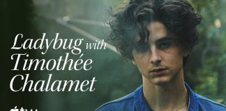 Timothée Chalamet