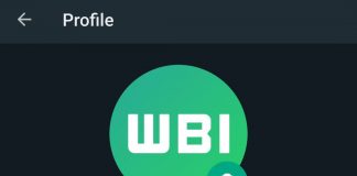 Opción para elegir un nombre de usuario en la App de WhatsApp