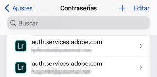 Sección de contraseñas en la App de Ajustes de iOS