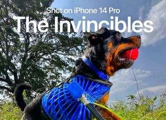 Prótesis para perros hechas con el escáner LiDAR del iPhone