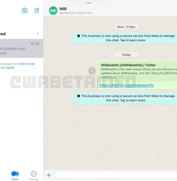 Versión de WhatsApp para iPad