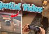 Spatial videos con un Shiba inu de ejemplo