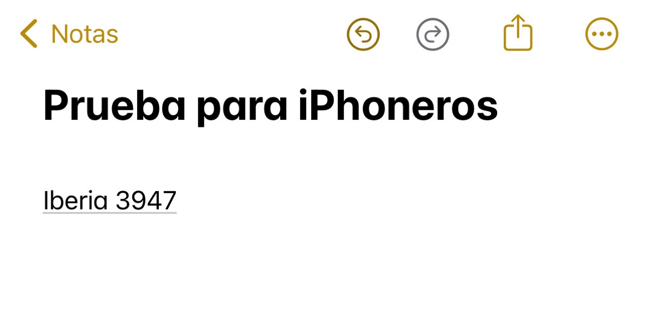 Escribiendo un número de Vuelo en la App de Notas