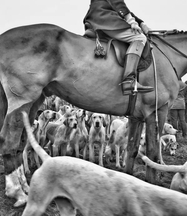 Foto de Colin Hoskins hecha con un iPhone 7 Plus. Es difícil comprender a primera vista por qué esta fotografía merece un premio a la vista de ojos profanos en la materia