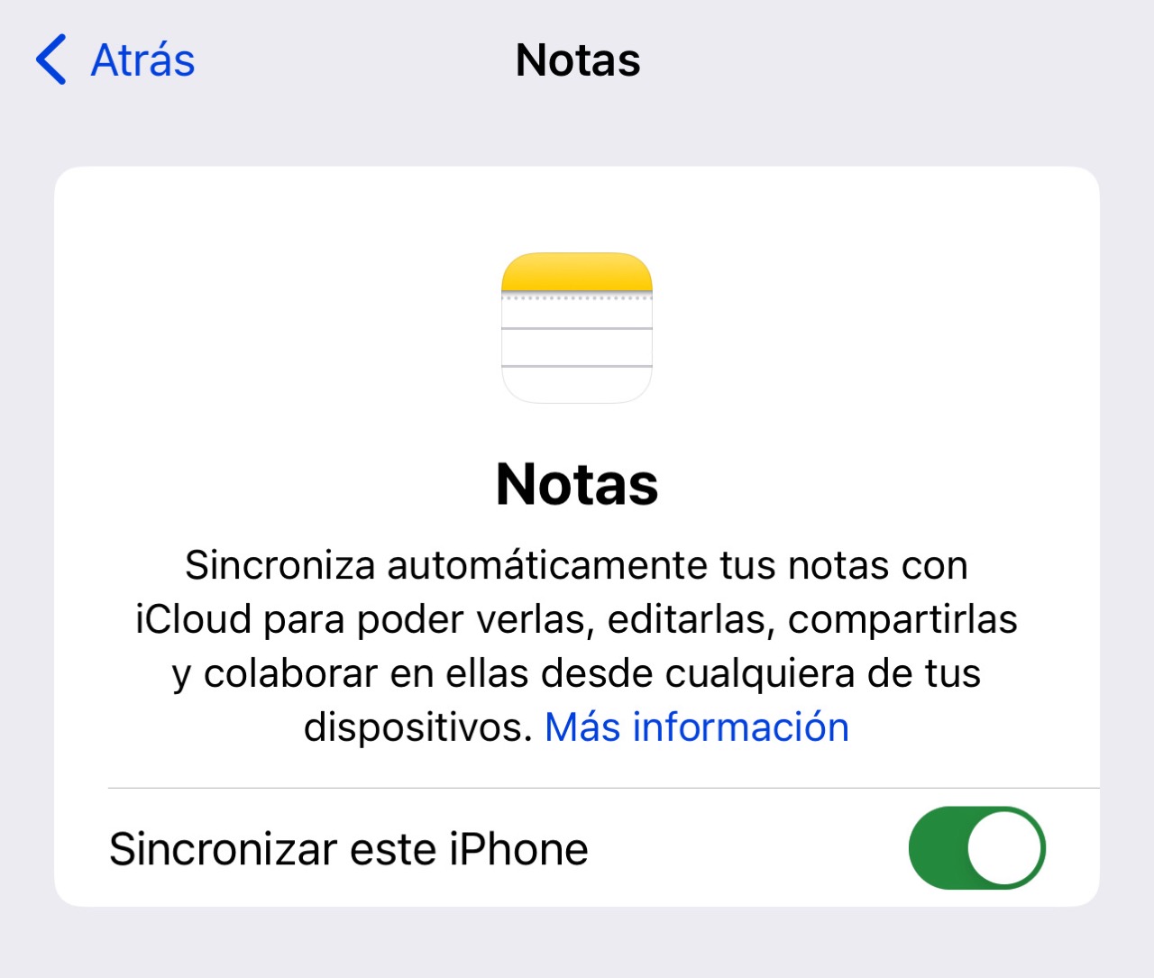 Ajuste de sincronización de notas en el apartado de iCloud de la App de Ajustes