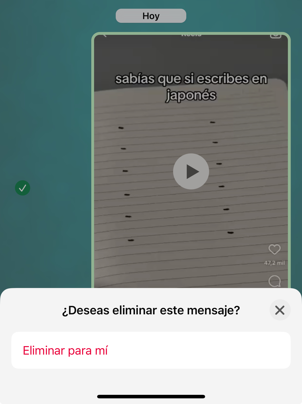 Eliminando el vídeo de WhatsApp para que no ocupe espacio