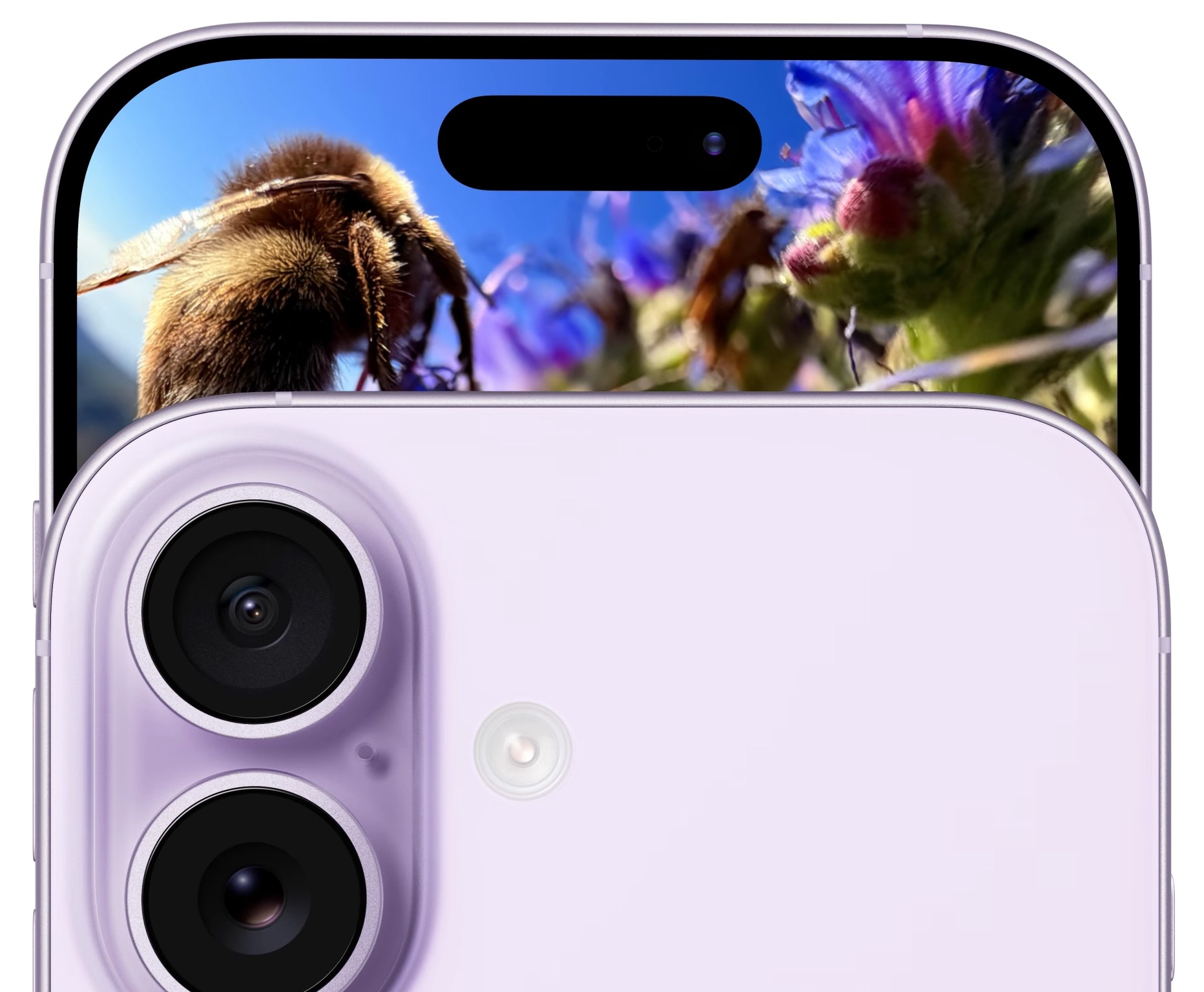 Cámara frontal de 18 Mpx y cámaras traseras, ambas de 48 Mpx en el iPhone 17