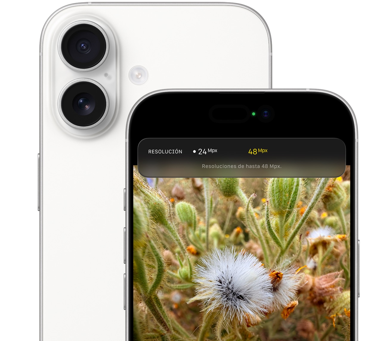 Cámaras traseras del iPhone 17