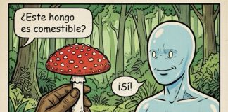 Las IAs pueden alucinar o equivocarse